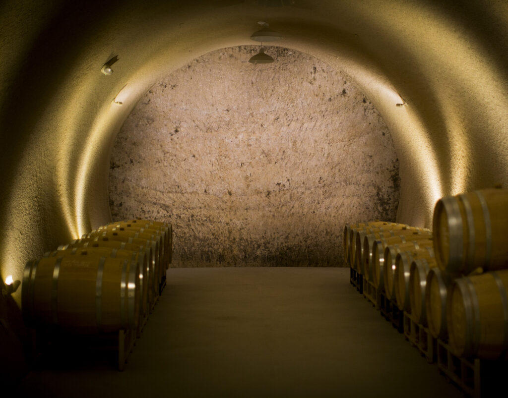 Image of the exposed limestone in the wine cave.